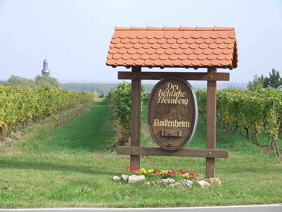 Der fröhliche Weinberg